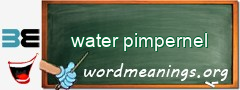 WordMeaning blackboard for water pimpernel